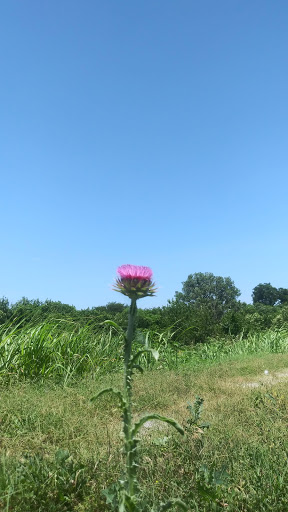 Zoo «Frank Buck Zoo», reviews and photos, 1000 W California St, Gainesville, TX 76240, USA