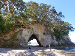 Cathedral Cove Beach'in fotoğrafı doğal alan içinde bulunmaktadır