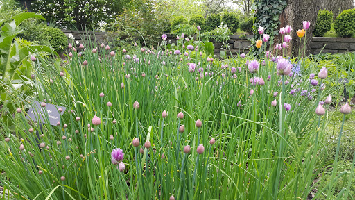 Historical Place «Morris-Jumel Mansion», reviews and photos, 65 Jumel Terrace, New York, NY 10032, USA