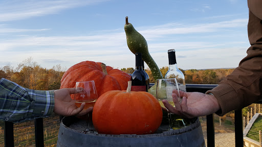 Winery «Saudé Creek Vineyards», reviews and photos, 16230 Cooks Mill Rd, Lanexa, VA 23089, USA