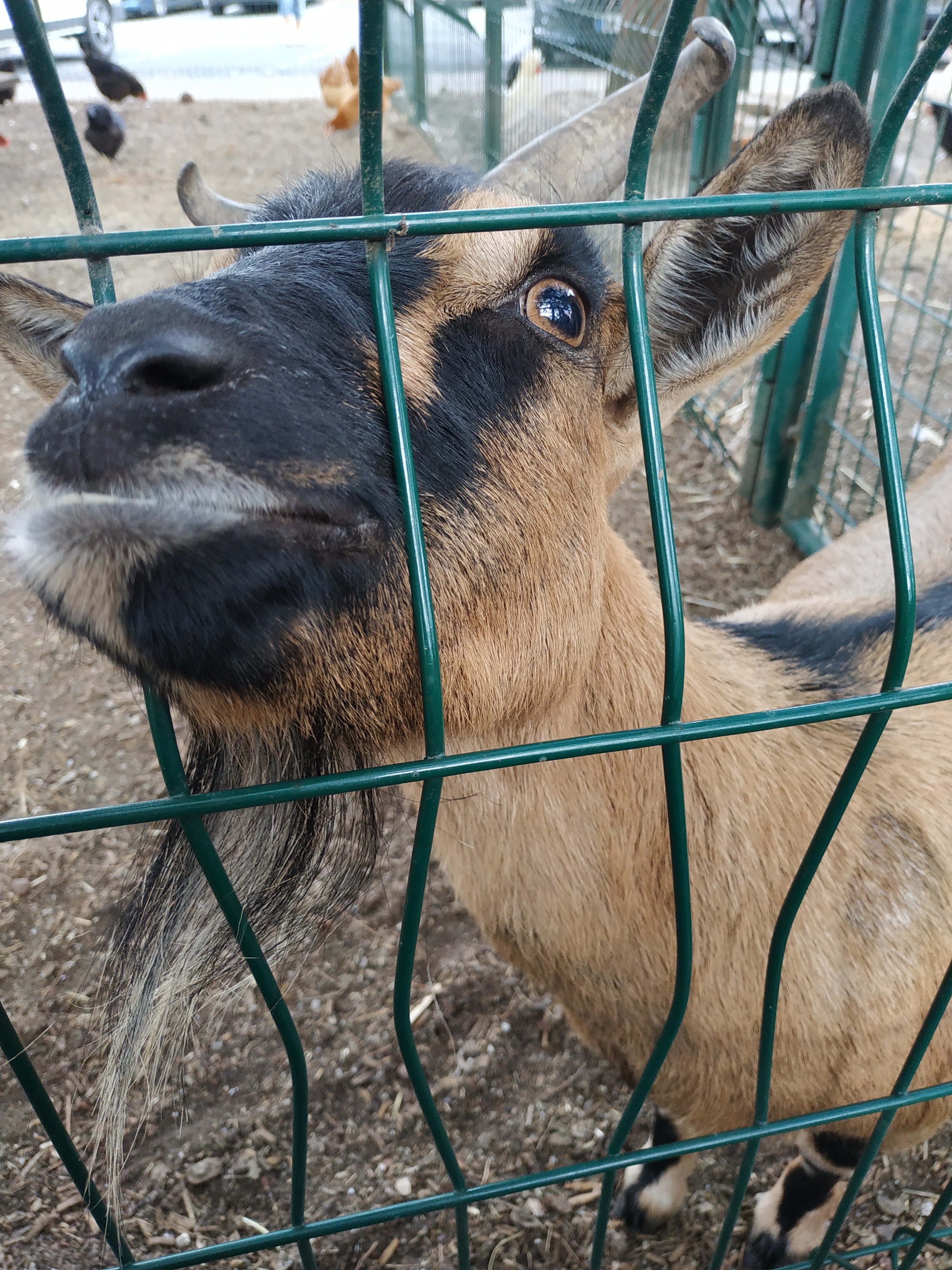 Photo n° 6 de l'avis de Jessy.e fait le 25/08/2018 à 16:56