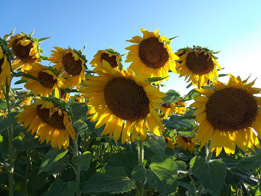 Community Center «Colerain Township Community Center», reviews and photos, 4300 Springdale Rd, Cincinnati, OH 45251, USA