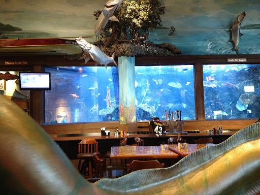 Outdoor Sports Store «Bass Pro Shops», reviews and photos, 7970 Northfield Blvd, Denver, CO 80238, USA