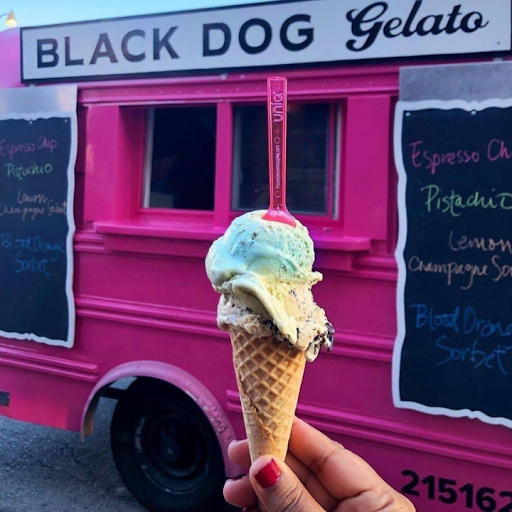 Ice Cream Shop «Black Dog Gelato», reviews and photos, 859 N Damen Ave, Chicago, IL 60622, USA