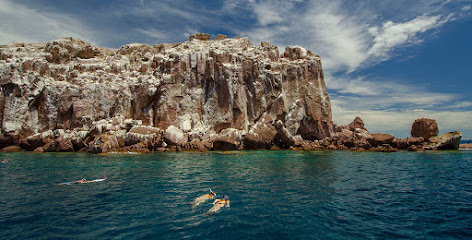 Espiritu Santo Island Tours - VisitBalandra