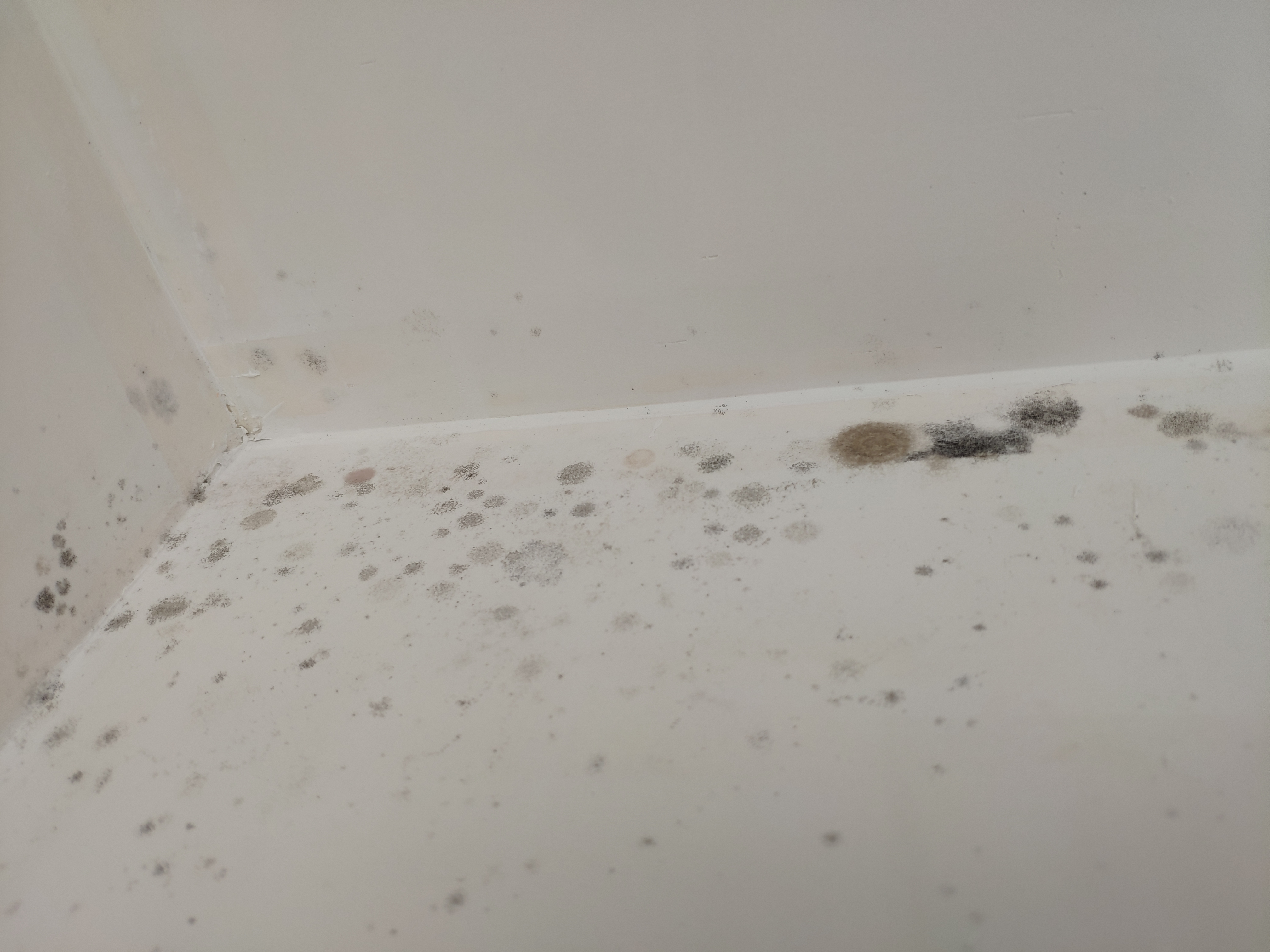 Photo n° 1 de l'avis de Didier.r fait le 04/11/2020 à 15:56
