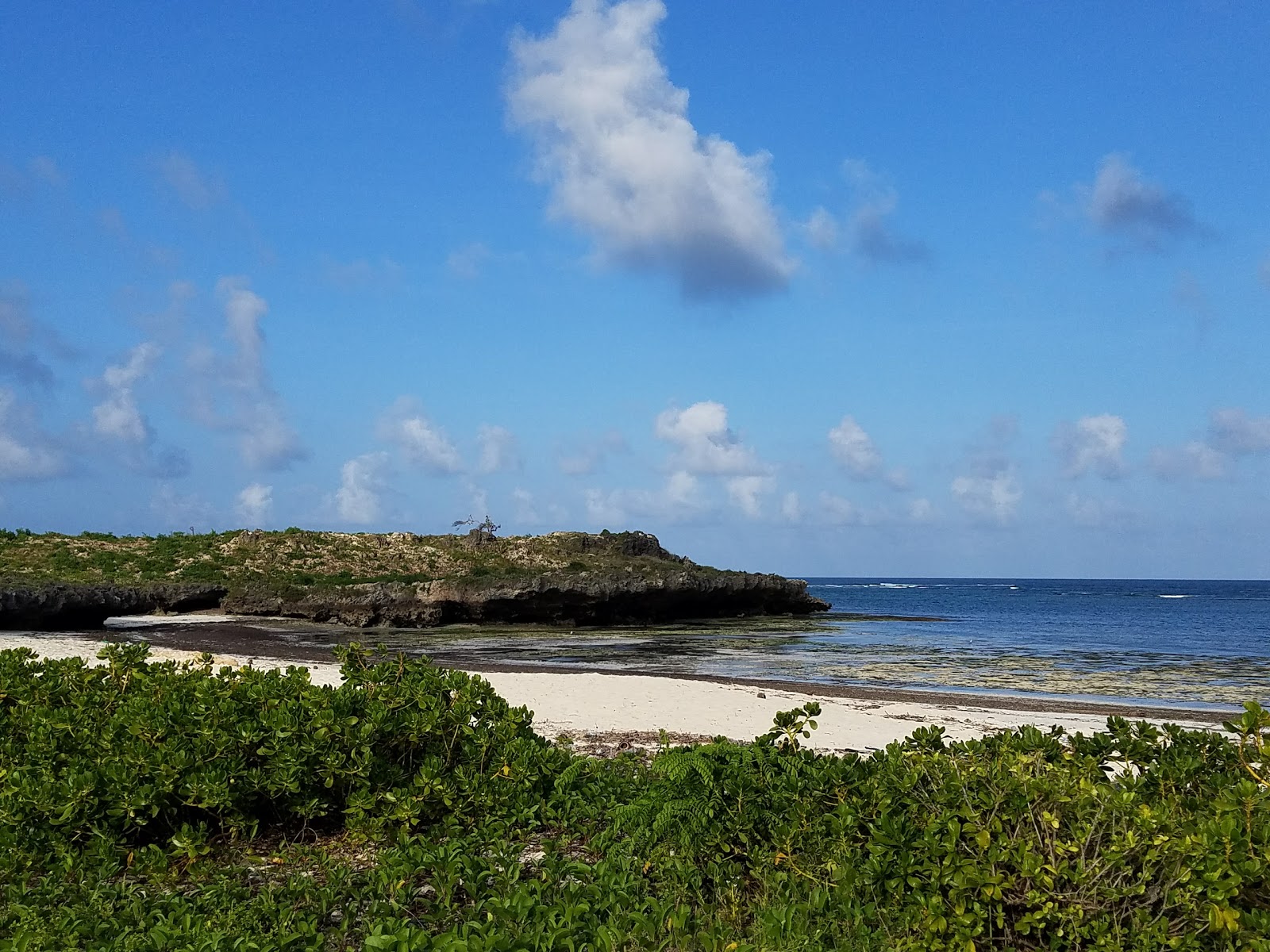 Foto di Kuruwitu Beach con parzialmente pulito livello di pulizia