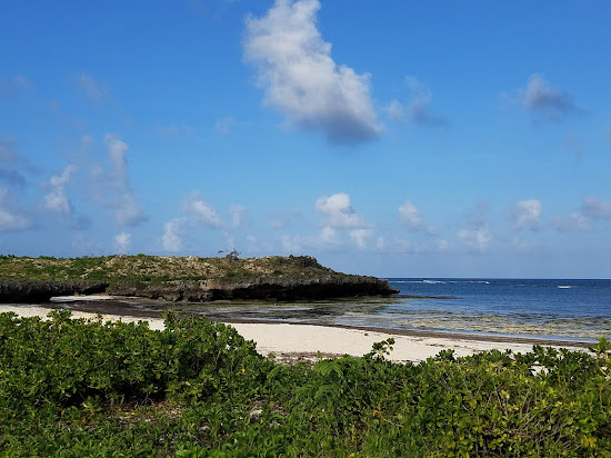 Kuruwitu Beach
