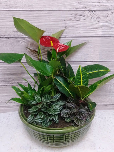 Florist «Burns Florist», reviews and photos, 1414 4th St, San Rafael, CA 94901, USA