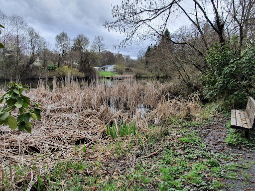 Park «West Hylebos Wetlands Park», reviews and photos, 411 S 348th St, Federal Way, WA 98003, USA