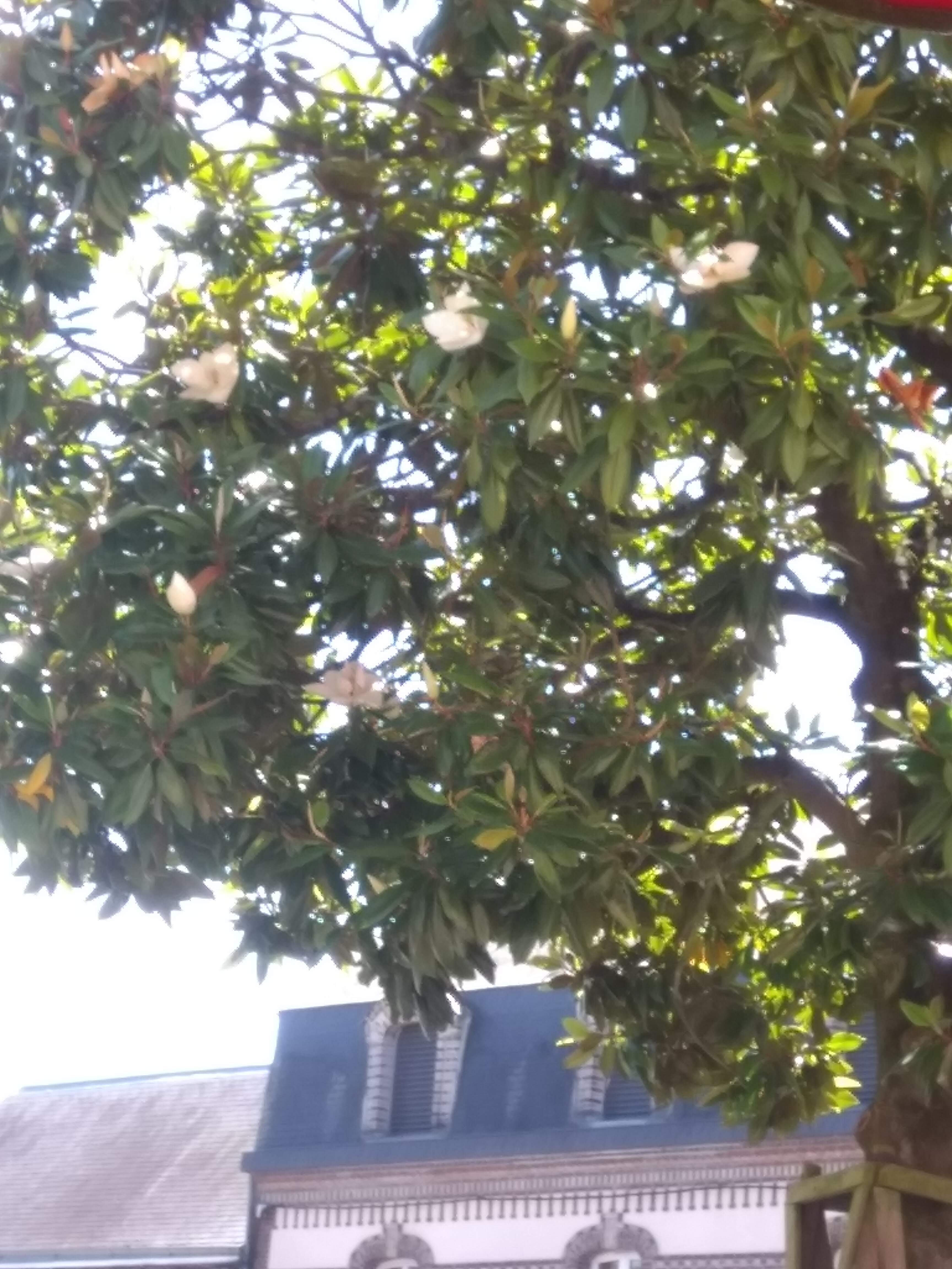 Photo n° 4 de l'avis de Jessika.a fait le 13/08/2022 à 21:17