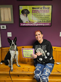 Trust & Obey Pawsitive Dog Training LLC - Photo 5 - Car repair in Plymouth, MI, South Lyon