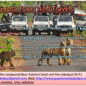 Gupta Travels photo