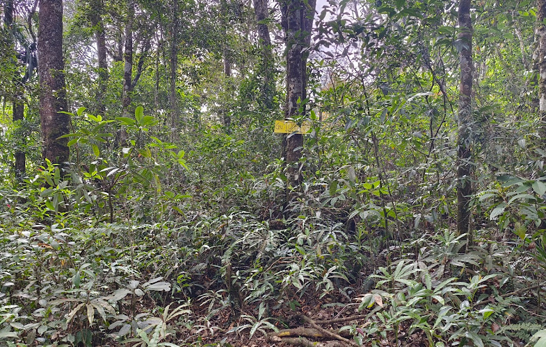 Gunung Tumpang