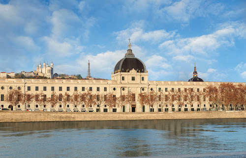 hôtels InterContinental Lyon - Hotel Dieu Lyon