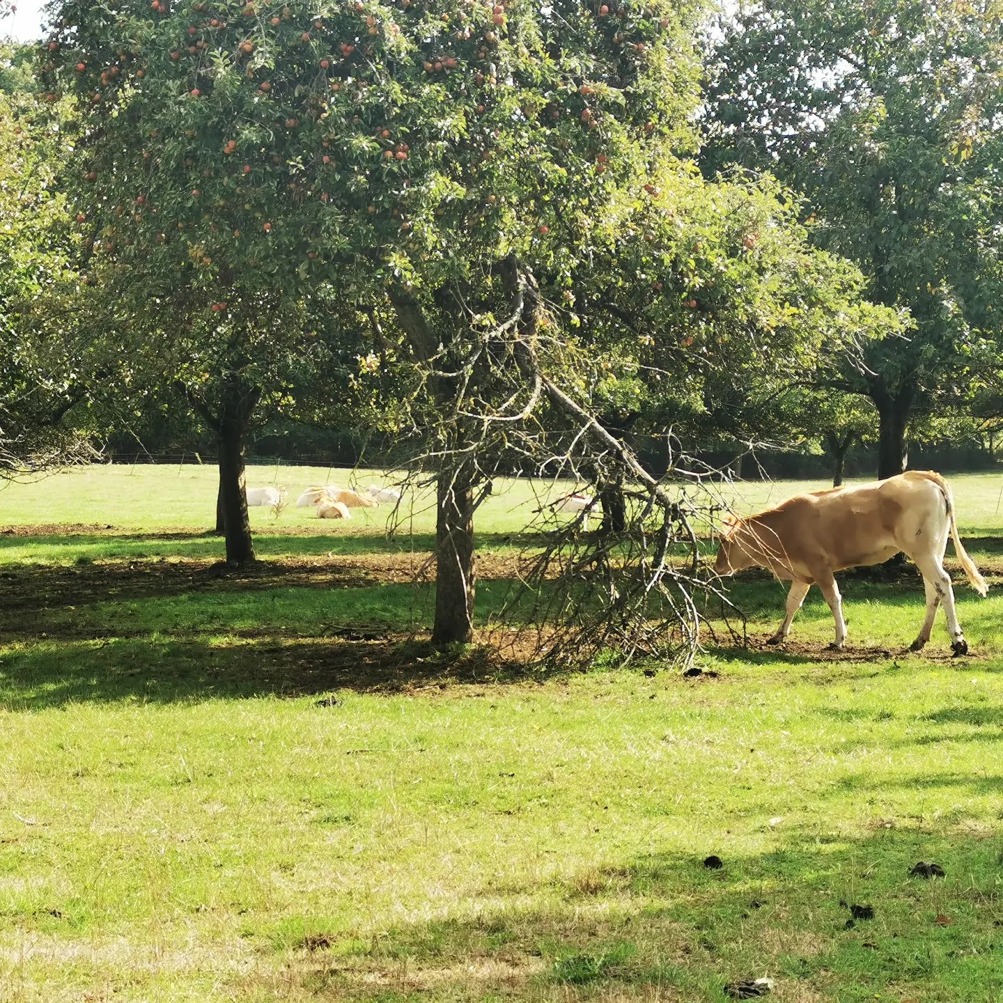 Photo n° 2 de l'avis de Adrien.a fait le 08/10/2022 à 10:31