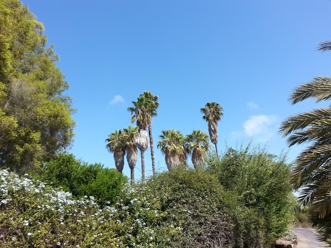 University of California Irvine Arboretum