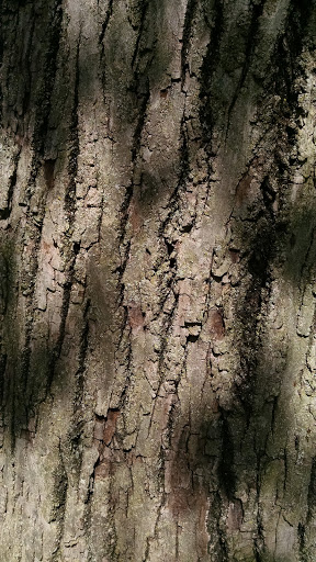 Park «Inwood Park», reviews and photos, 2308 Vine St, Cincinnati, OH 45219, USA