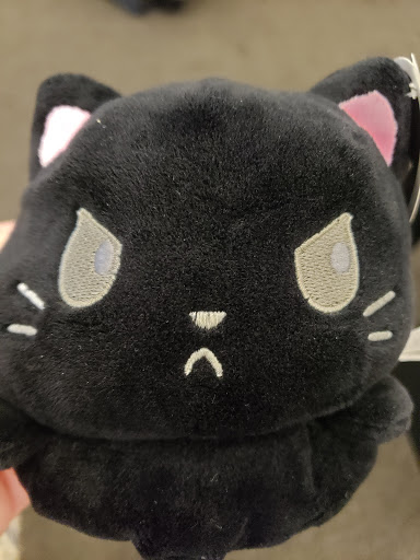 Book Store «Books-A-Million», reviews and photos, 4225 14th St W, Bradenton, FL 34205, USA