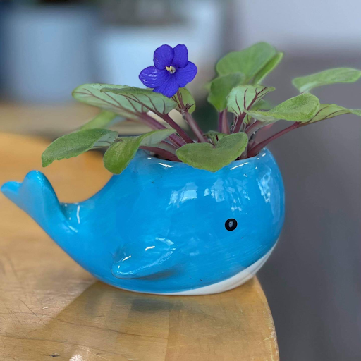 Florist «Plumeria Botanical Boutique», reviews and photos, 1364 W Michigan Ave, Battle Creek, MI 49037, USA