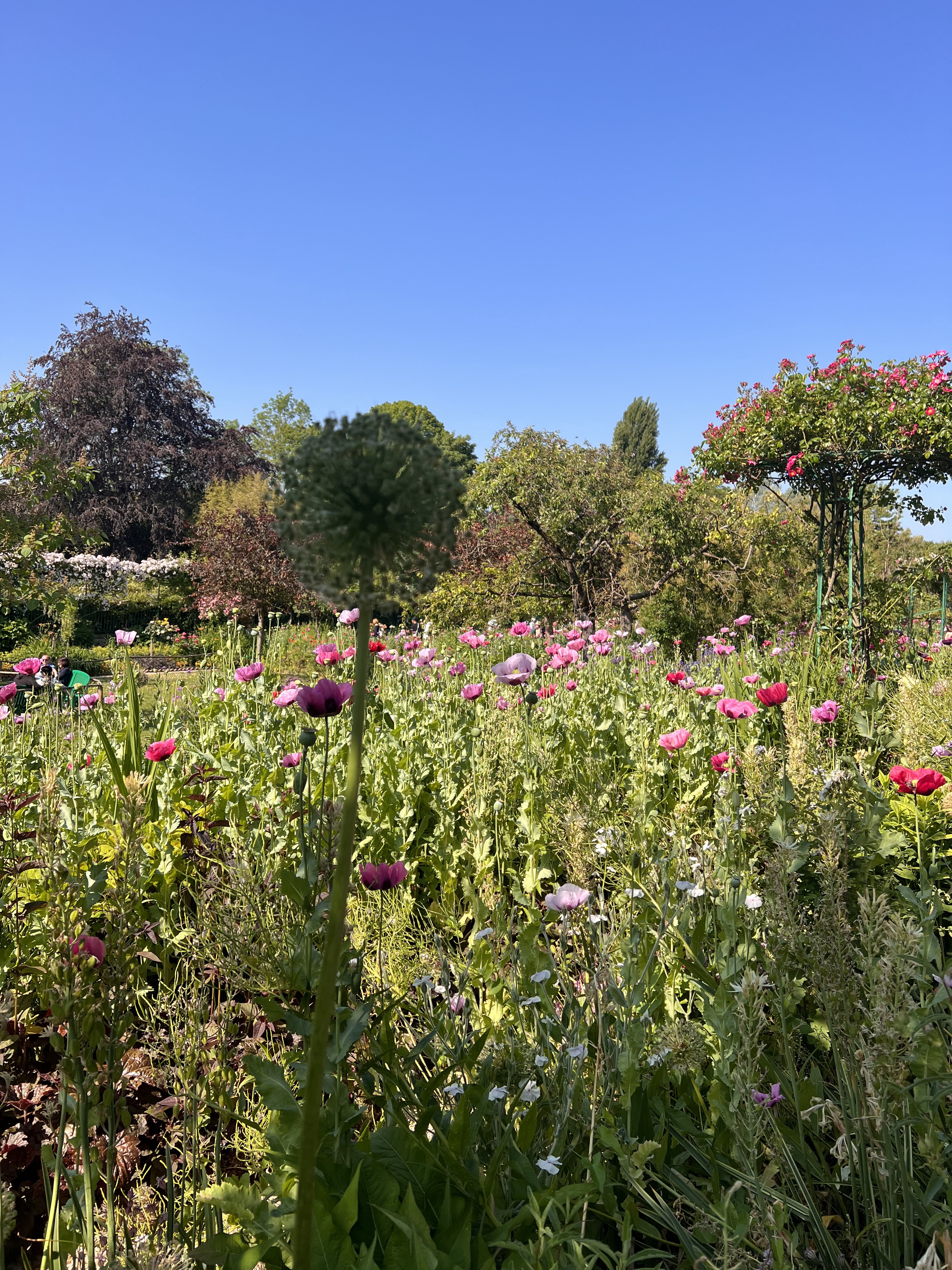 Photo n° 2 de l'avis de Wisha.k fait le 19/08/2023 à 14:30