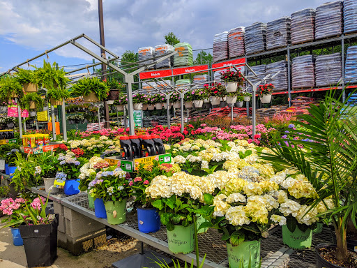 Home Improvement Store «The Home Depot», reviews and photos, 530 Mt Pleasant Ave, Dover, NJ 07801, USA