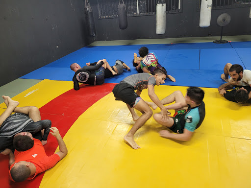 Fighting Fitness Club Crosstraining, Kickboxing, Jiu Jitsu- Toa Baja