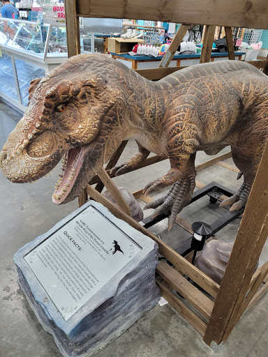 Souvenir Store «Sharkheads», reviews and photos, 1703 Beach Blvd, Biloxi, MS 39531, USA