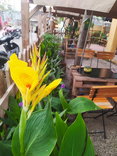 Top 20 cửa hàng matcha Huyện Hoằng Hóa Thanh Hóa 2022