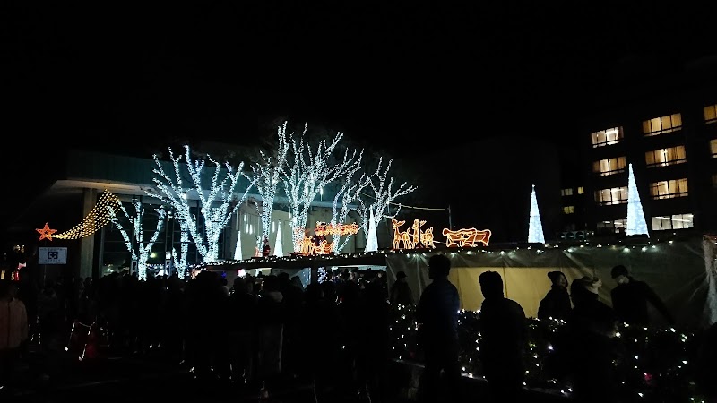 尾西イルミネーション Mitake小径回り途