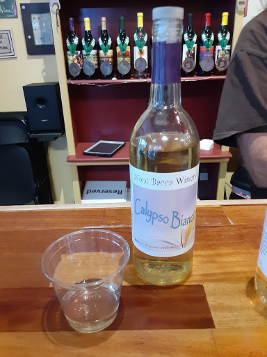 Winery «Noni Bacca Winery», reviews and photos, 420 Eastwood Rd, Wilmington, NC 28403, USA