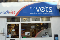 Medivet Islington Cross St