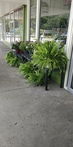 Florist «Johnston the Florist», reviews and photos, 4307 Northern Pike, Monroeville, PA 15146, USA