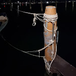 Photo n°1 de l'avis de Anteo.o fait le 24/06/2023 à 14:55 sur le  Osteria Fronte Del Porto à Chioggia