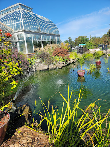 Tourist Attraction «Anna Scripps Whitcomb Conservatory», reviews and photos, 900 Inselruhe Ave, Detroit, MI 48207, USA