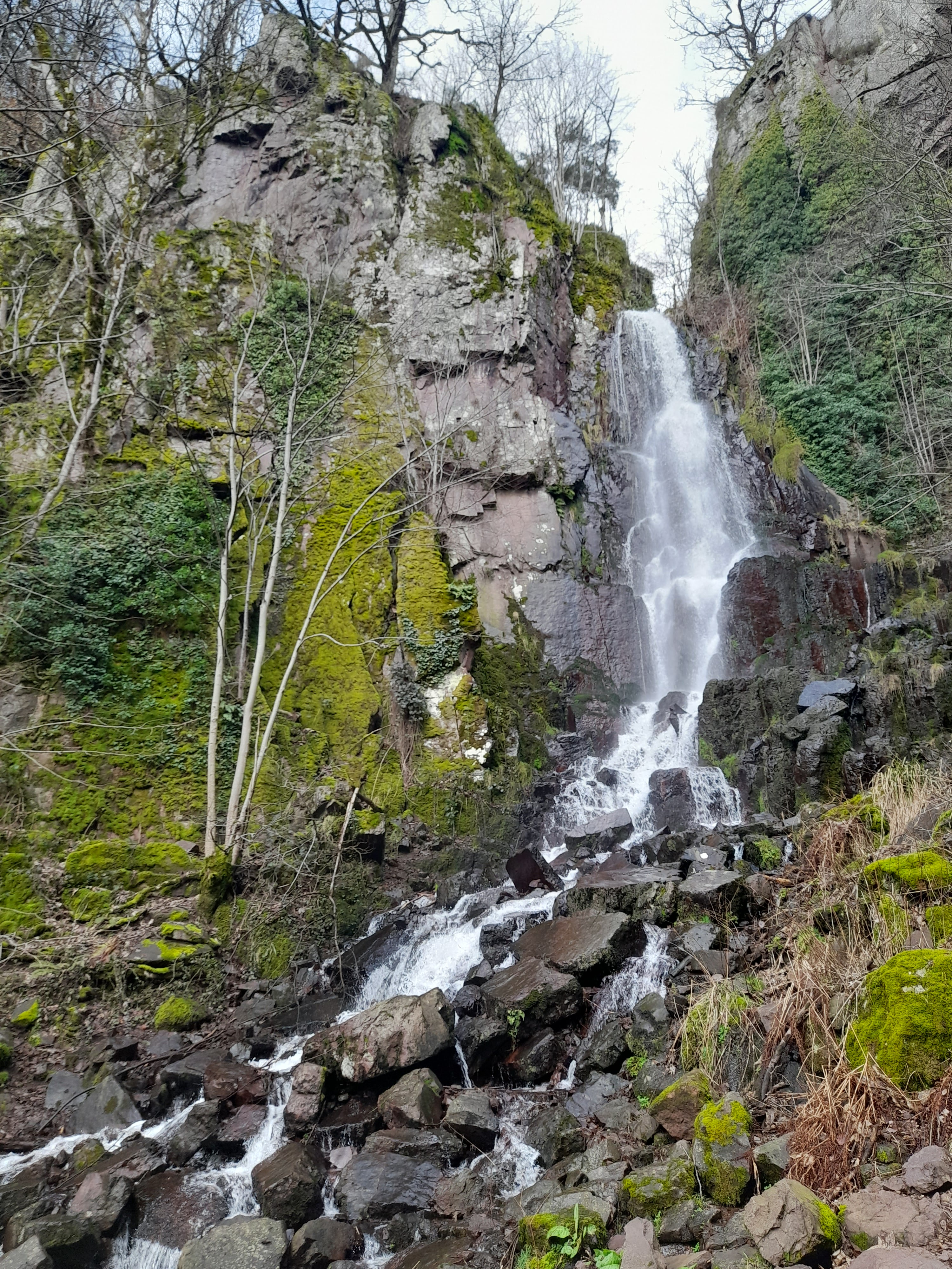 Photo n° 5 de l'avis de Allan. fait le 15/02/2024 à 17:31