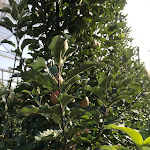 Photo n°2 de l'avis de Irina.a fait le 06/10/2023 à 20:04 sur le  PIRCHER à Nals