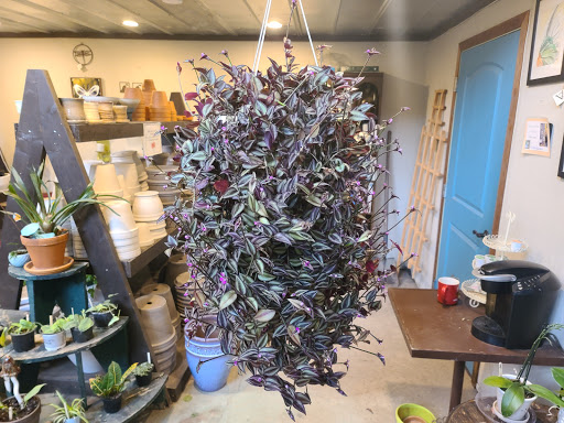 Garden Center «Victoria Gardens», reviews and photos, 1 Cottekill Rd, Rosendale, NY 12472, USA