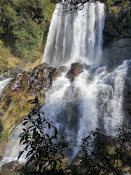 Sendero La Cascada Encantada - Reserva Biologica Juan Millanao