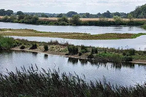 Pensthorpe image