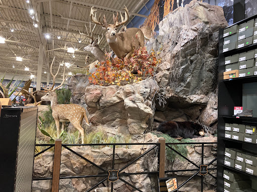Outdoor Sports Store «Field & Stream», reviews and photos, 24600 Katy Fwy Ste 1100B, Katy, TX 77493, USA