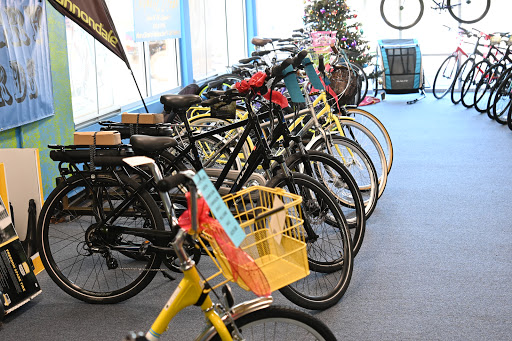 Bicycle Repair Shop «Adventure Earth», reviews and photos, 2039 Airport Blvd, Mobile, AL 36606, USA