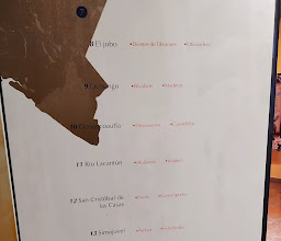 Museo de Paleontología \