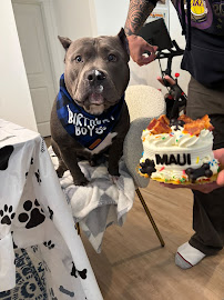 Woof N’ Bake - Photo 3 - Car repair in Boise, ID, Boise