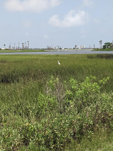 Public Golf Course «Moody Gardens Golf Course», reviews and photos, 1700 Sydnor Ln, Galveston, TX 77554, USA