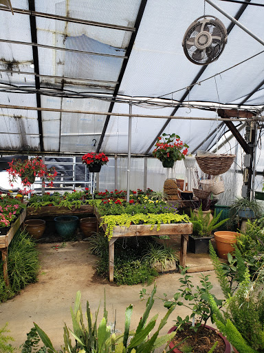 Florist «Colonial Gardens Full Service Florist & Garden Center», reviews and photos, 442 Fitchburg Turnpike, Concord, MA 01742, USA