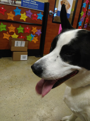 Pet Supply Store «PetSmart», reviews and photos, 271 New Rd, Somers Point, NJ 08244, USA