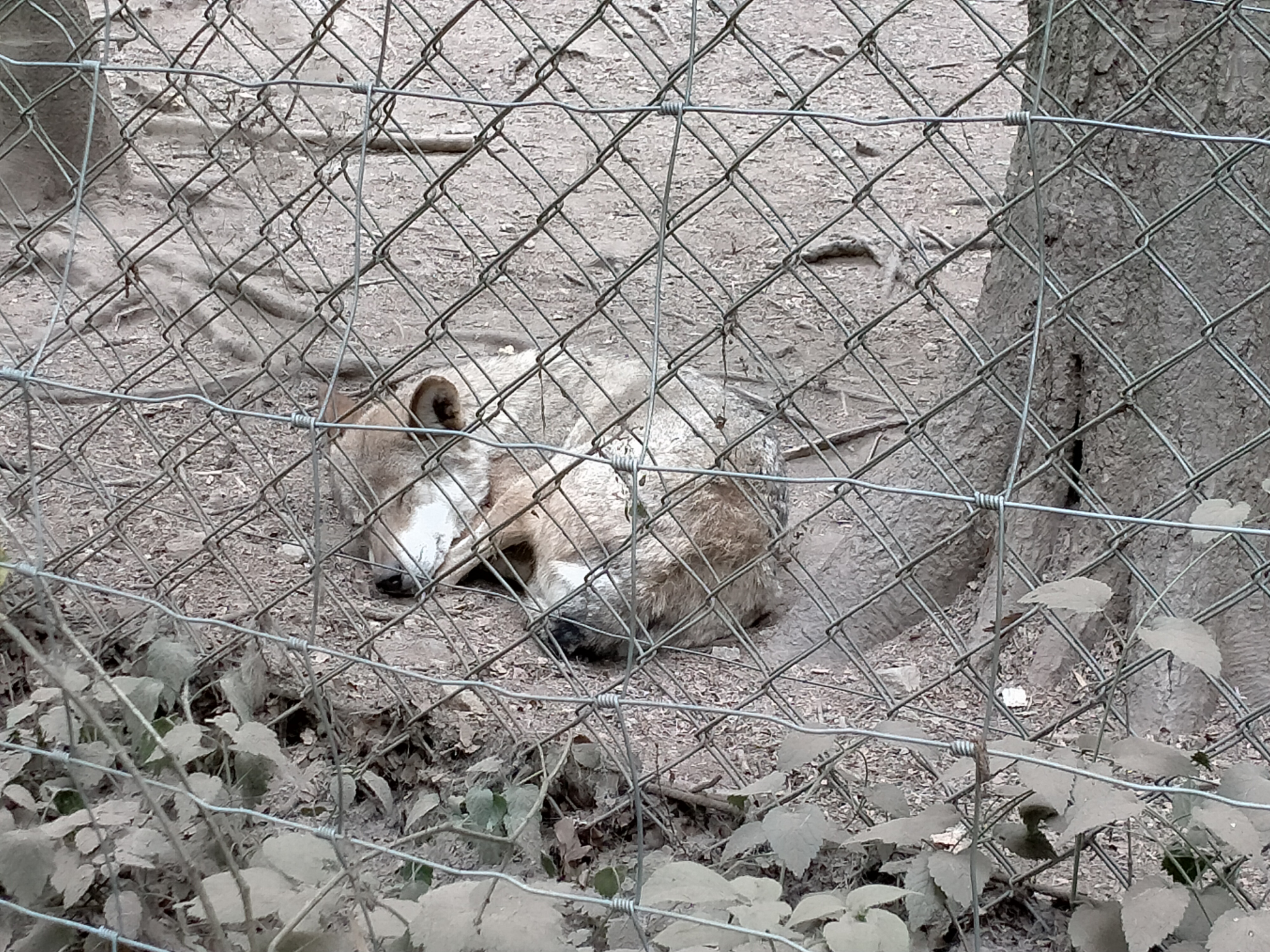 Photo n° 6 de l'avis de sebastien.a fait le 20/07/2022 à 13:52