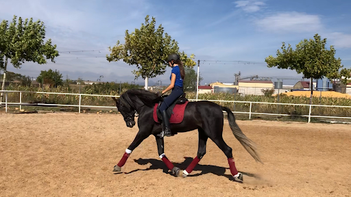 Club Hípico Yeguada Andrés Molina en Yunquera de Henares, Guadalajara