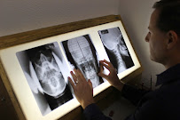 Upper Cervical Chiropractic of Sacramento | Dr. Brett Gottlieb, DC